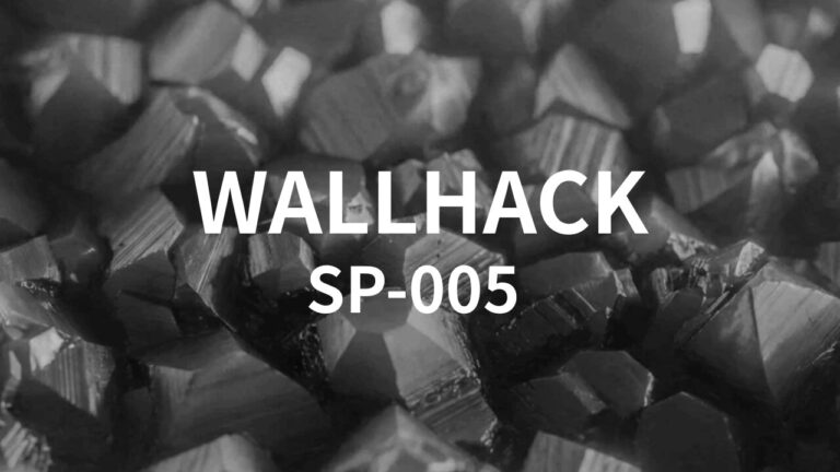 Wallhack SP-005まとめ｜SP-004との違い・限定デザイン・おすすめな人を解説
